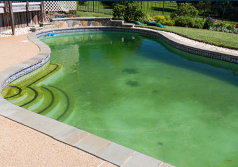 Why does my pool keep going green?